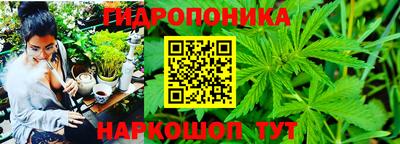 стаф Конаково