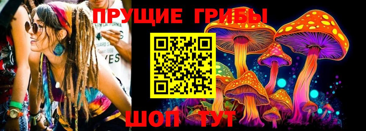 Галлюциногенные грибы Magic Shrooms Киселёвск
